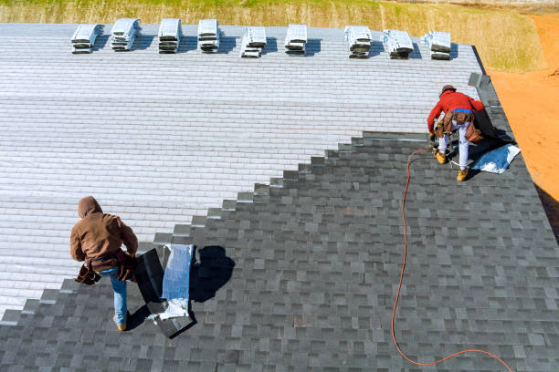 Best Roof Gutter Cleaning  in Colfax, LA